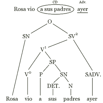 Diagrama arbóreo - Rosa vio a sus padres ayer